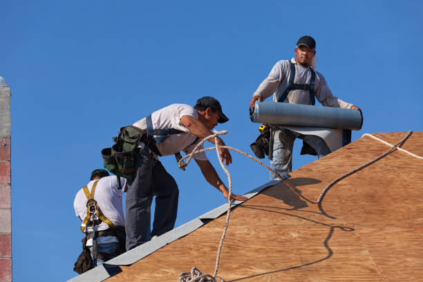 Best Sealant for Roof  in Tulia, TX