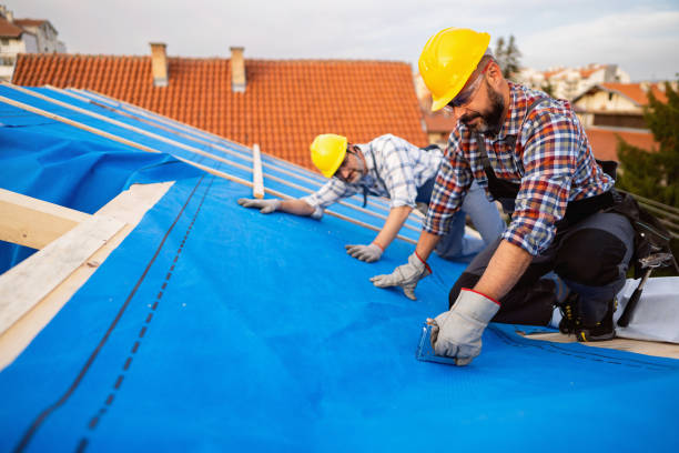 Best Roof Gutter Cleaning  in Tulia, TX
